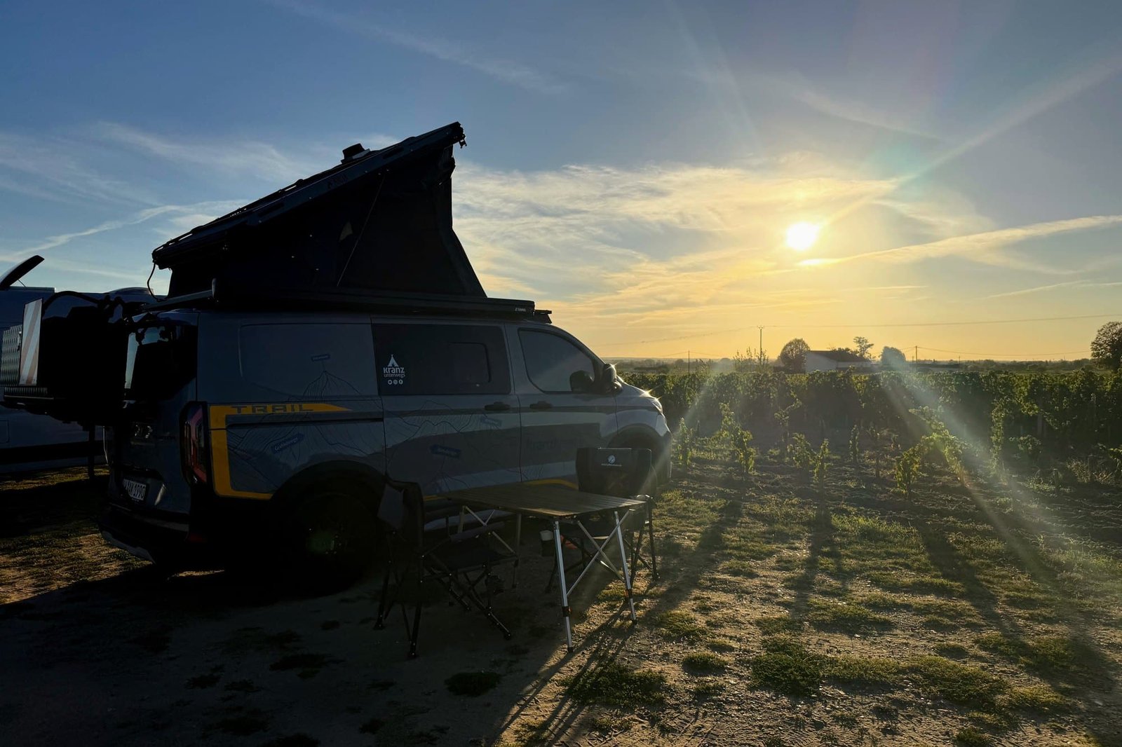 Henry mit Dachzelt zwischen den Weinreben im Abendlicht
