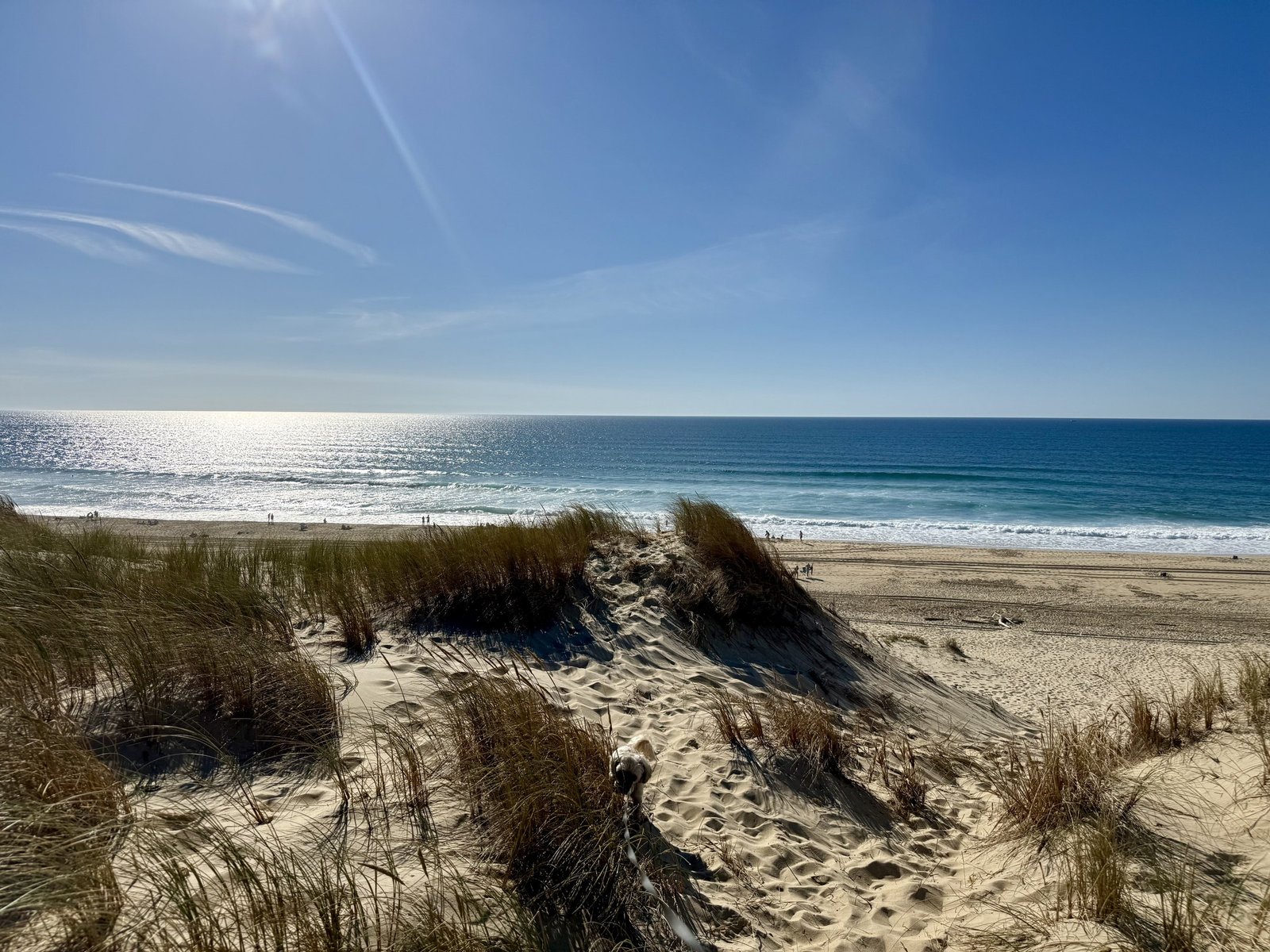 Nachmittagslicht über Strand und Dünen am Atlantik